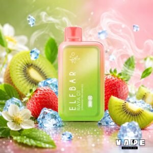 Elfbar Raya D1 13K